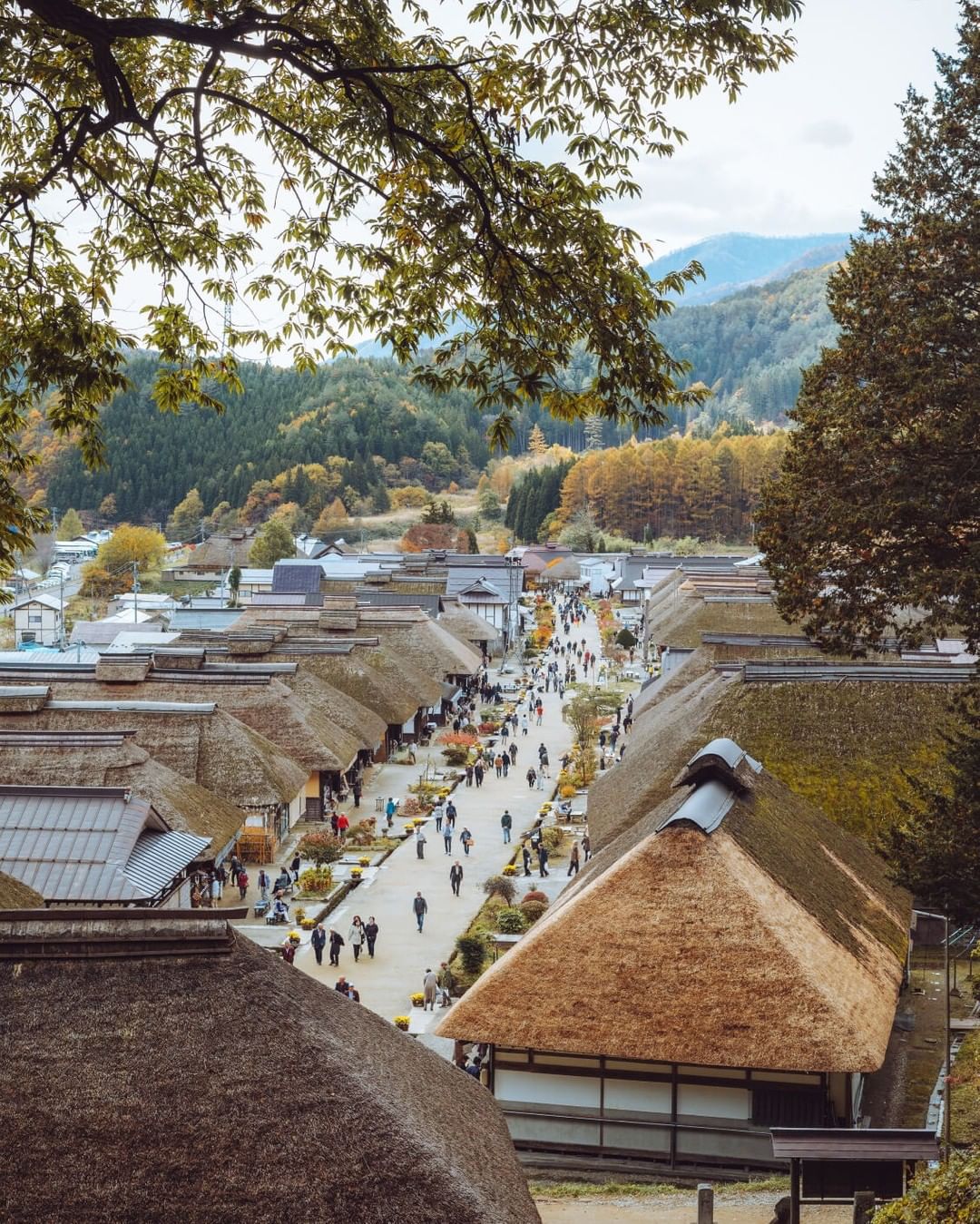 High angle view of a traditional Japanese village with thatched roofs, a road with people, and forested mountains in the background.