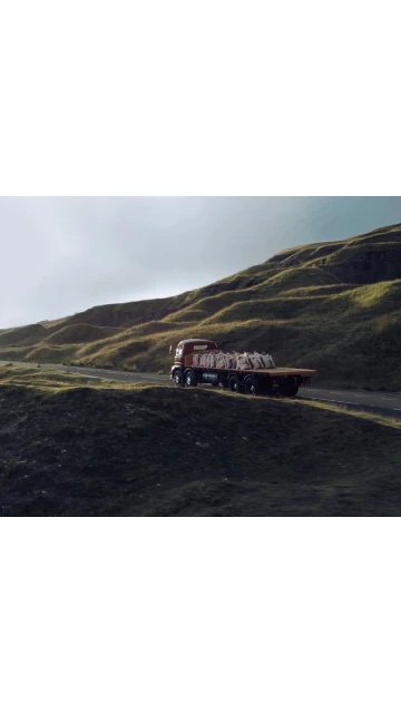 Orange flatbed truck drives on winding road through a green, grassy, hilly landscape. Haze in the air. Nature & Wildlife.
