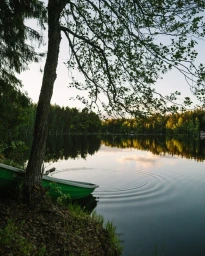 Green rowboat moored at the edge of a calm lake under overhanging tree branches at dusk.