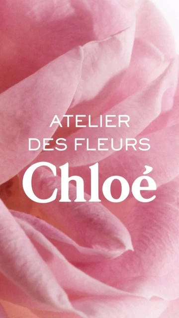 Close-up vertical shot of a pink rose with Chloe Atelier des Fleurs text overlay for floral beauty or perfume brand campaign.