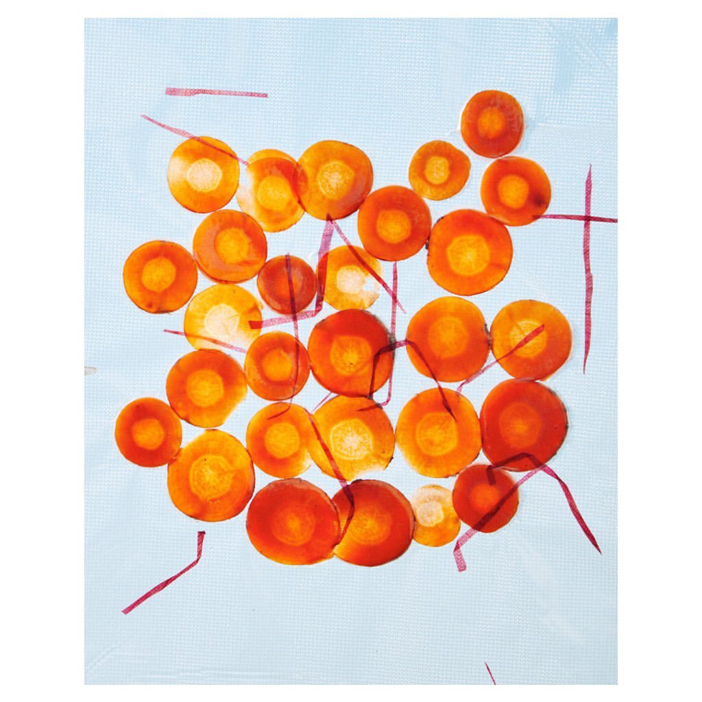 Overhead shot of orange carrot slices arranged in a grid pattern on a light blue, slightly textured background with pink thread pieces.