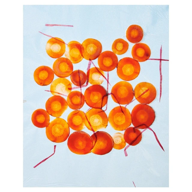 Overhead shot of orange carrot slices arranged in a grid pattern on a light blue, slightly textured background with pink thread pieces.