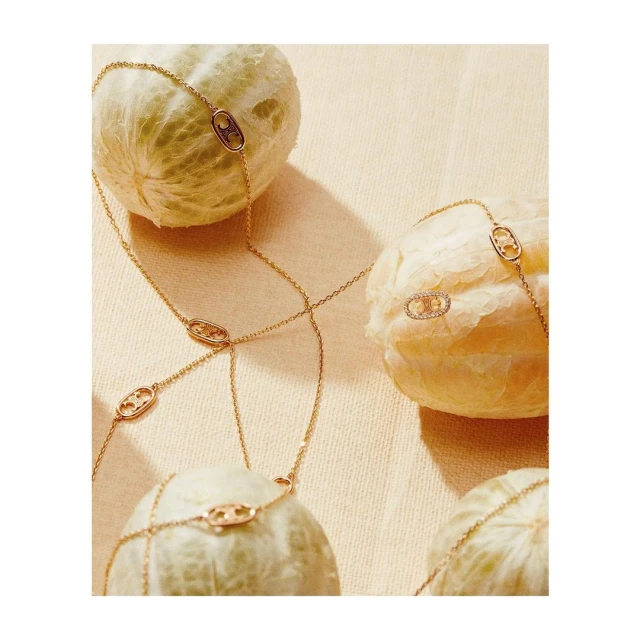 Elegant gold necklace featuring the Celine logo, artfully arranged on textured pale fruits for a fashion-forward jewelry display.
