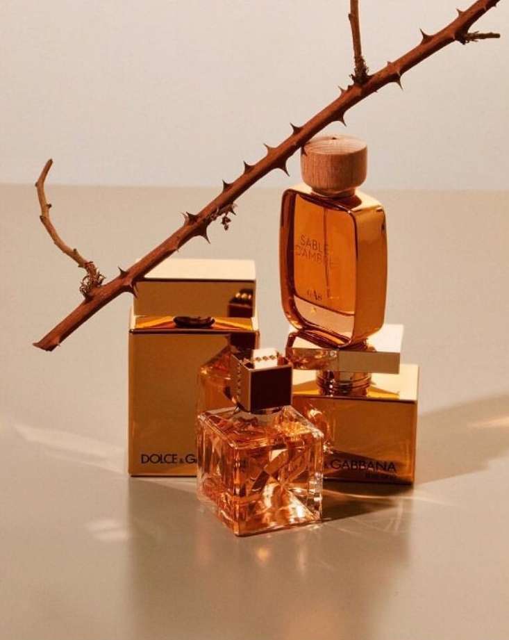 Three gold perfume bottles displayed on shiny surfaces next to a branch with thorns in a softly lit, eye-level product shot.