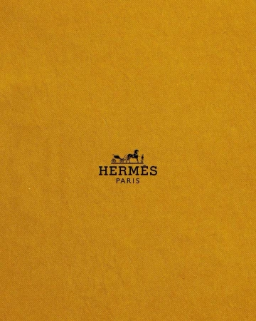 Close-up of the Hermès Paris logo on a yellow-gold textured background, showcasing the iconic horse-drawn carriage emblem.