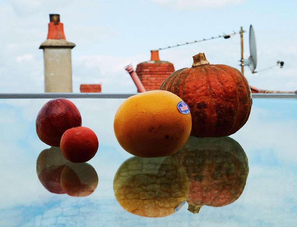Eye-level still life of a pumpkin, orange, and two plums against a bright cloudy sky, set on a reflective surface creating mirrored images.