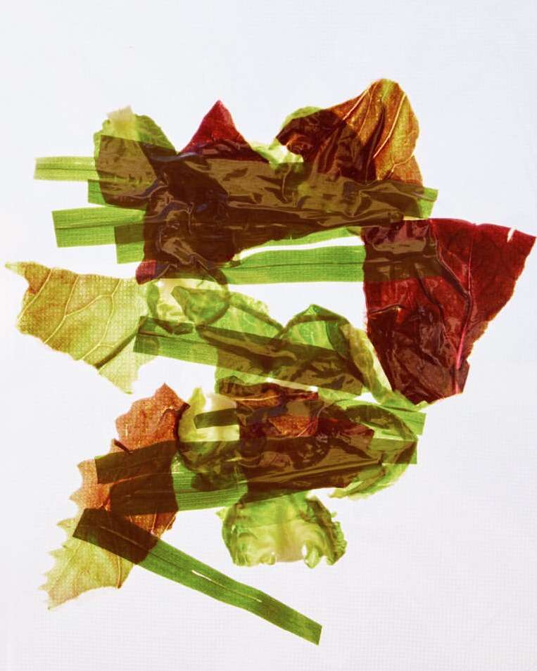 Abstract display of collaged leaves and grass pieces, showcasing textures and patterns against a bright white background.