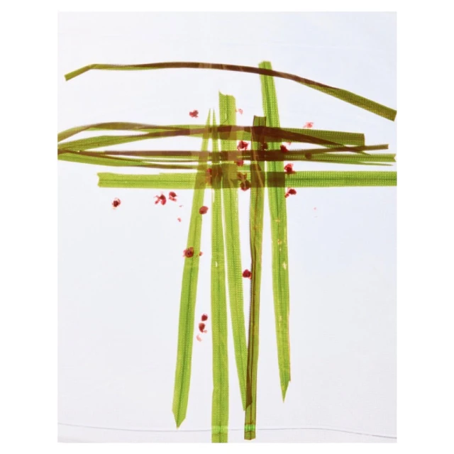 Graphic art composition of green blades of grass and small red dots on a white background in a visually interesting, abstract arrangement.