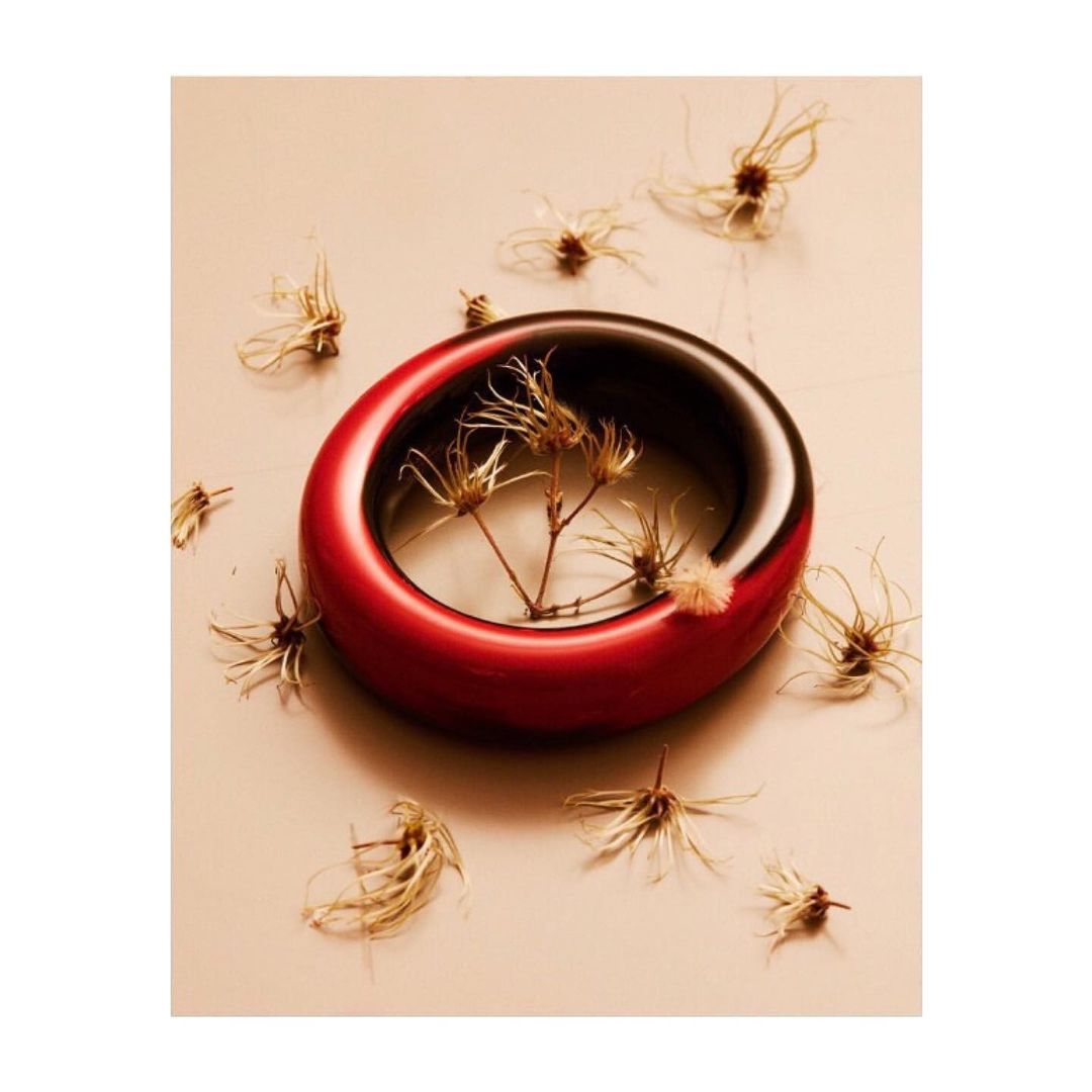 Close-up still life of a thick red and black ring surrounding dried plants, placed on a neutral surface with scattered dried plants.