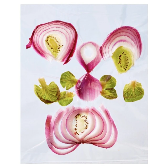 Abstract arrangement of red onion slices, green lettuce leaves, and kiwi sections on a white background, creating a unique composition.