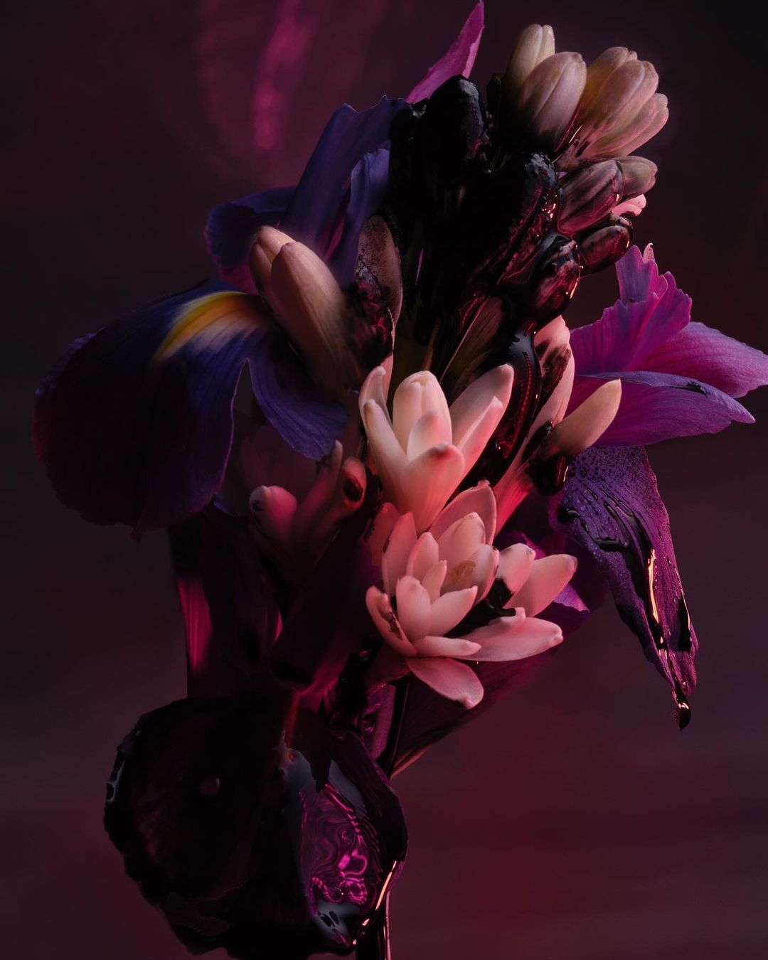 Close-up studio shot of a floral arrangement featuring purple irises and white hyacinths against a dark pink background.