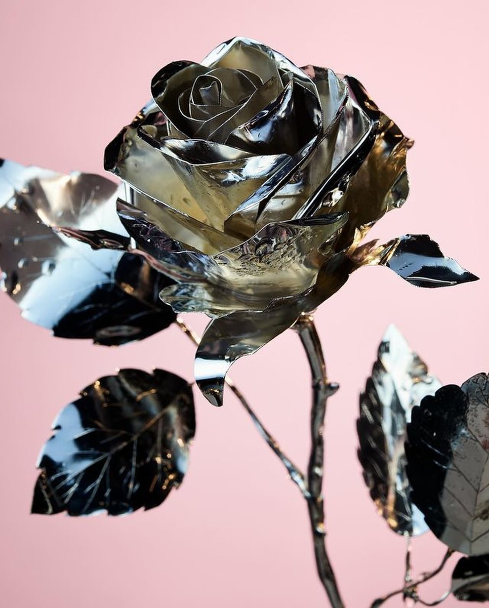 Close-up studio shot of a metallic rose sculpture with reflective surfaces, posed against a solid pink backdrop. Botanical fine art.