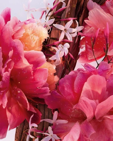 Floral still life with pink peonies, orange citrus fruit, and white jasmine flowers arranged on a textured wooden surface.
