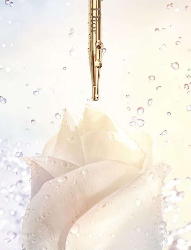 Close-up of a golden cosmetic dropper with liquid drops above a wet white rose bloom, all set against a soft gradient background.