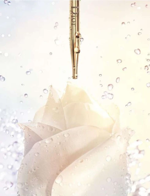 Close-up of a golden cosmetic dropper with liquid drops above a wet white rose bloom, all set against a soft gradient background.