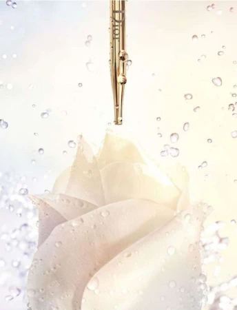 Close-up of a golden cosmetic dropper with liquid drops above a wet white rose bloom, all set against a soft gradient background.