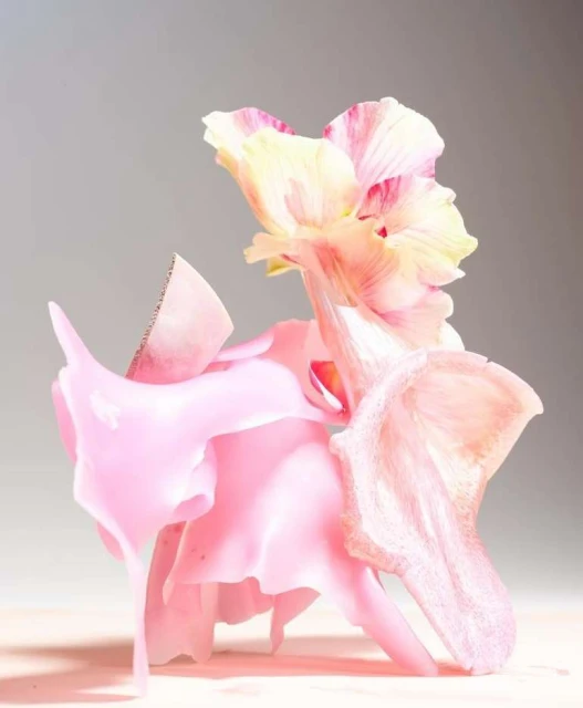 Still life photograph showcases an artful arrangement of pink and cream-colored flower petals, creating a visually appealing composition.