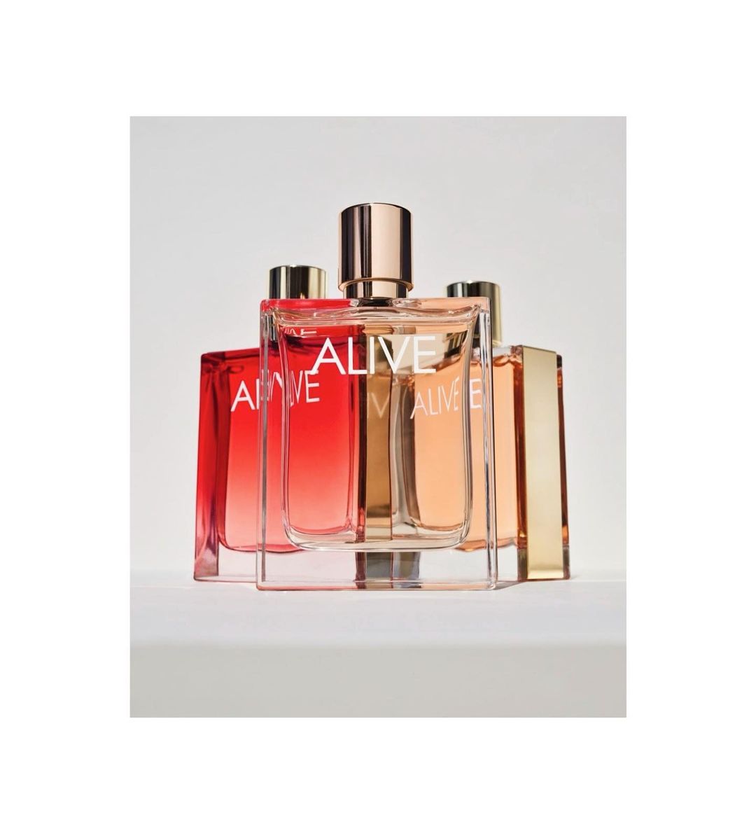 Several glass perfume bottles with gold accents and the word 'ALIVE' displayed on the front are arranged against a white background.