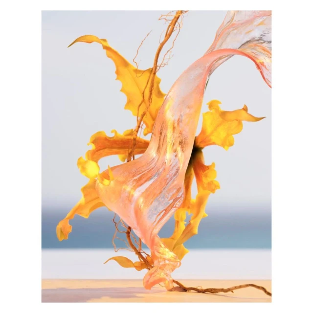 Abstract botanical art featuring golden kelp leaves and fluid, transparent forms against a soft sky and light wood base.