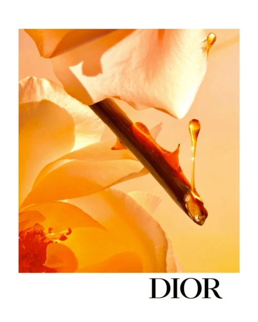 Close-up shot of Dior honey dripping from a rose stem surrounded by pale yellow rose petals against a soft gradient yellow backdrop.
