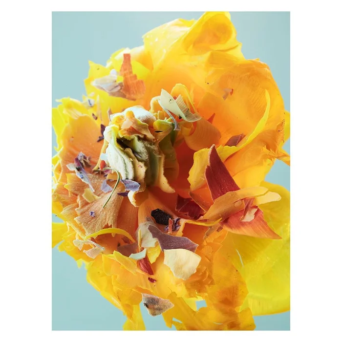 Close-up macro shot of a vibrant yellow flower adorned with scattered colorful shavings against a pale blue background.