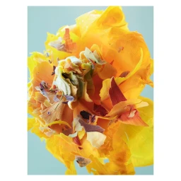 Close-up macro shot of a vibrant yellow flower adorned with scattered colorful shavings against a pale blue background.