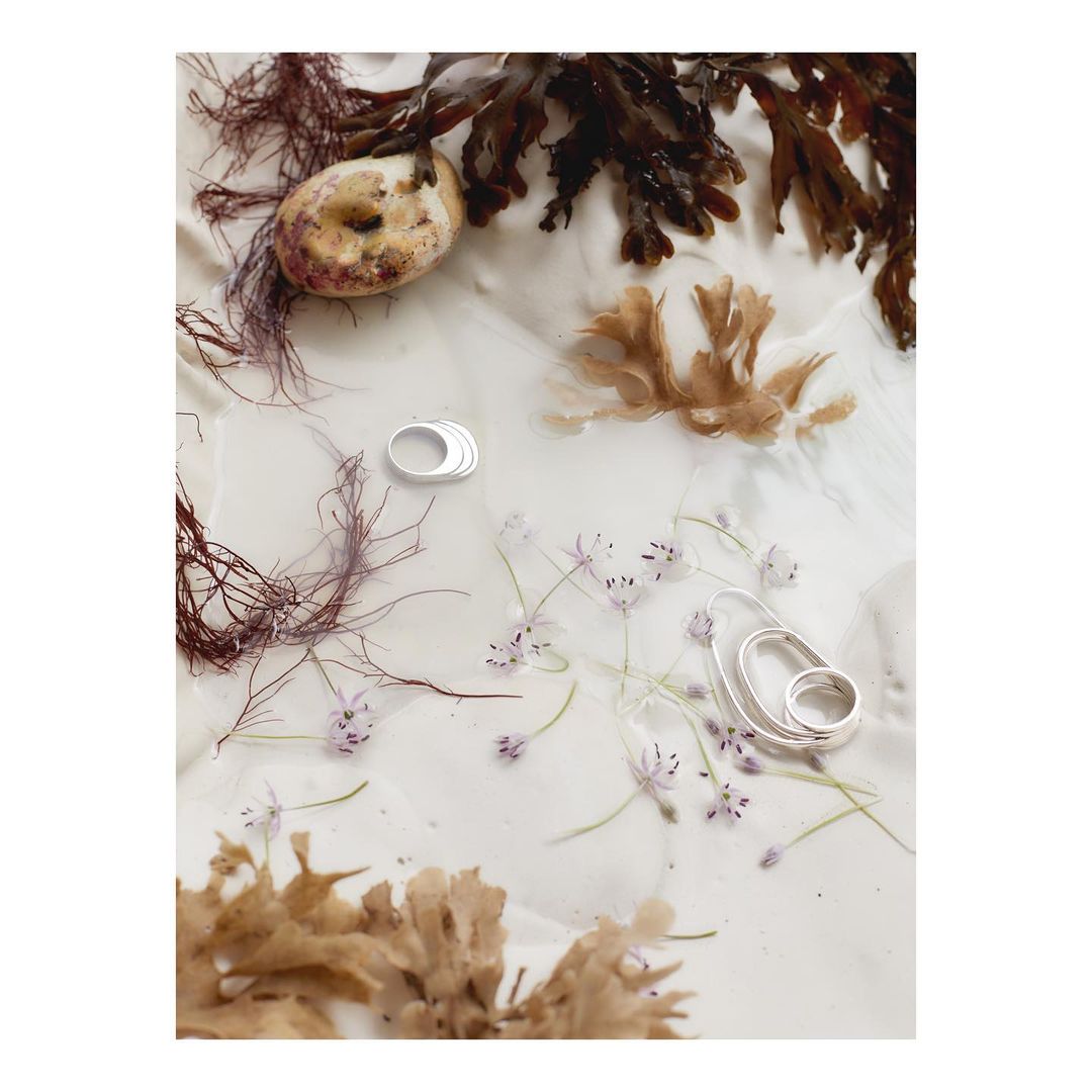 Close-up of silver rings surrounded by seaweed, small flowers, and a textured rock on a white surface, showcasing jewellery design.