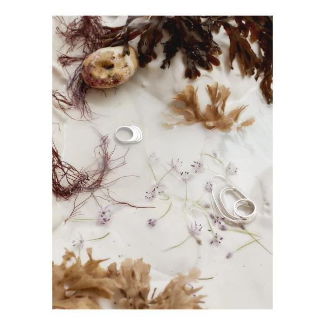 Close-up of silver rings surrounded by seaweed, small flowers, and a textured rock on a white surface, showcasing jewellery design.