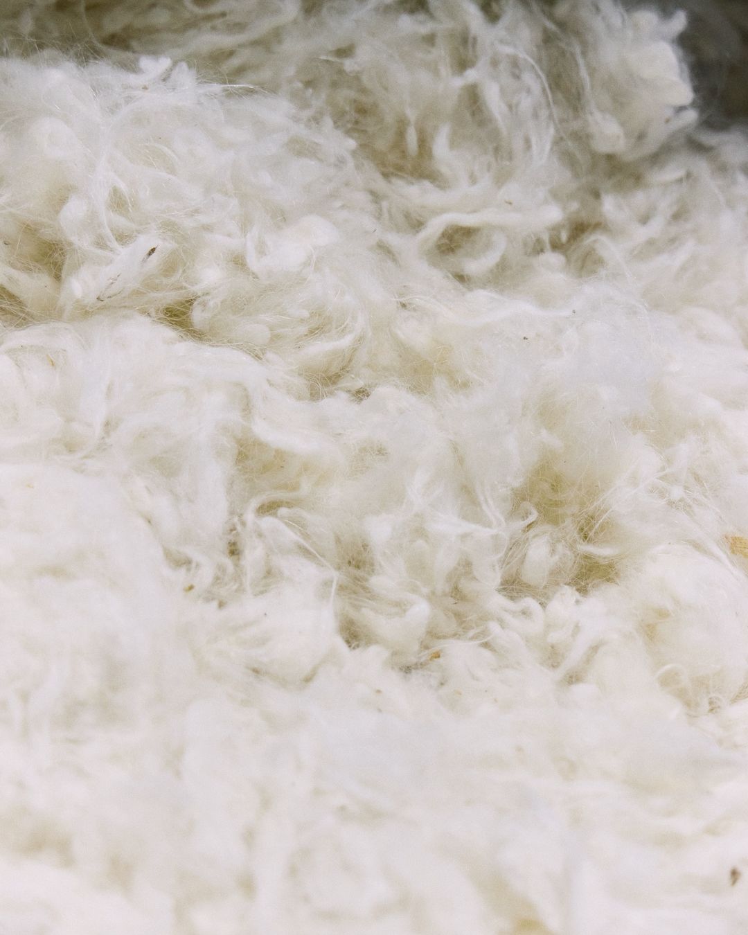 Close-up view showcasing the soft, fluffy texture of white cotton material, creating an inviting and gentle visual experience.
