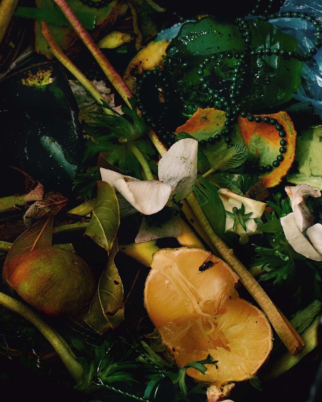 Close-up shot of food waste featuring citrus fruit, discarded flowers, and vegetable trimmings, set against a dark, moody backdrop.