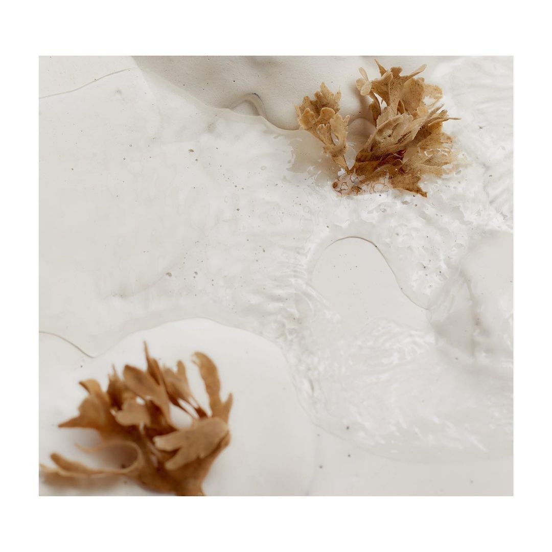 Abstract arrangement of beige coral-like plant structures on a textured white surface, creating a minimalist nature-inspired art piece.