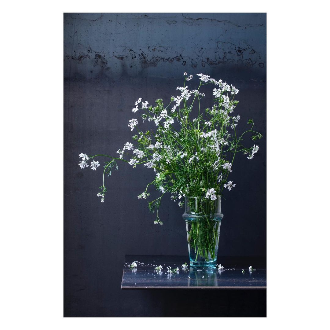 Still life of a clear glass vase filled with a bouquet of white flowers on a reflective shelf against a dark textured background.