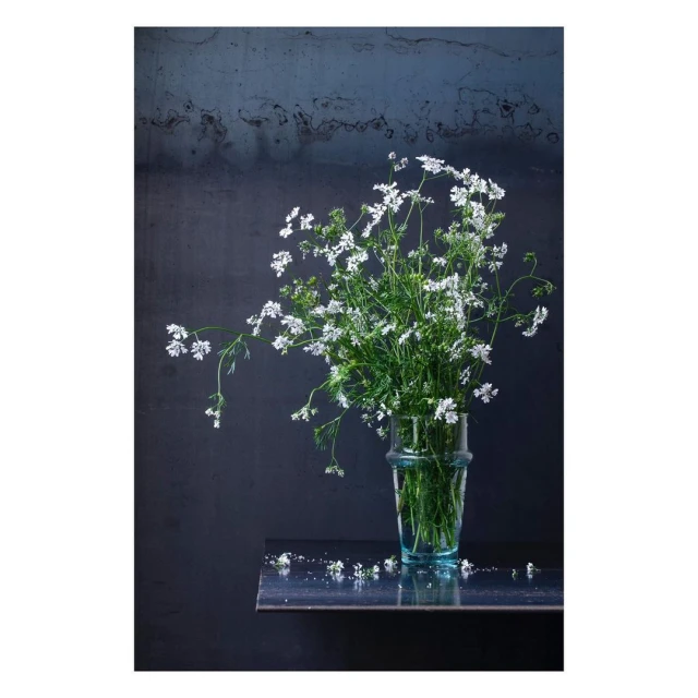 Still life of a clear glass vase filled with a bouquet of white flowers on a reflective shelf against a dark textured background.
