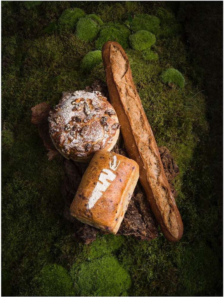 Overhead shot of three artisanal breads including a baguette, walnut loaf, and a carrot-topped loaf, arranged on mossy surface.