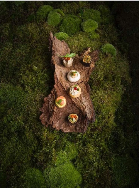 Overhead shot of assorted appetizers on a wooden plank surrounded by green moss, ideal for catering or upscale food presentation.