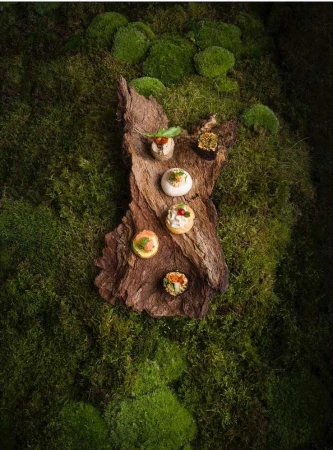 Overhead shot of assorted appetizers on a wooden plank surrounded by green moss, ideal for catering or upscale food presentation.