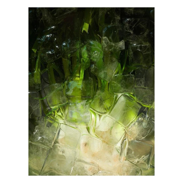 Macro shot of ice cubes with green plant stalks frozen inside, illuminated by bright lighting, creating a cool and refreshing visual.