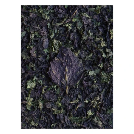 Overhead shot showcasing dried purple basil leaves, some green, arranged in a textured, visually appealing presentation.