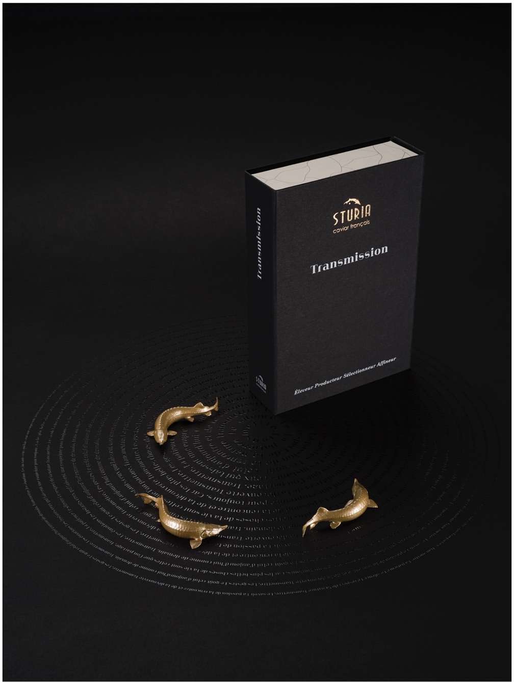 Elegant product shot featuring three small, golden fish figurines arranged on a black surface with concentric circle pattern next to a black box.