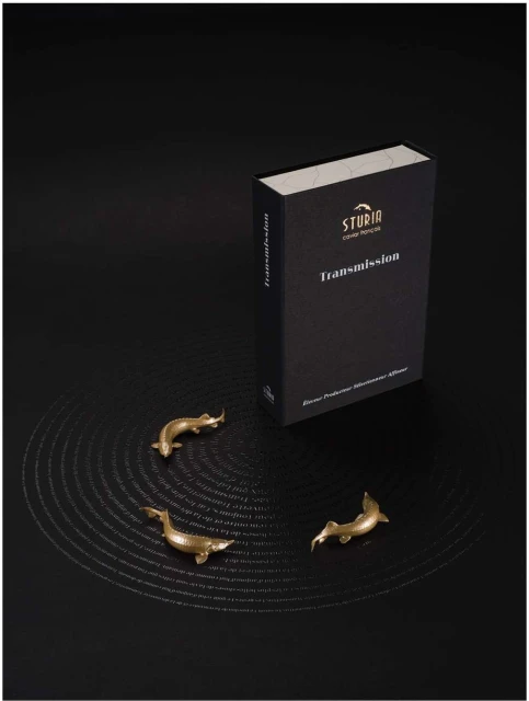 Elegant product shot featuring three small, golden fish figurines arranged on a black surface with concentric circle pattern next to a black box.