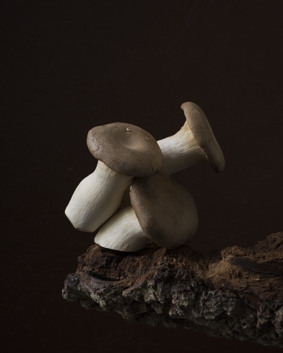 A close-up shot of clustered king oyster mushrooms resting on a textured piece of wood against a dark background, creating a still life.