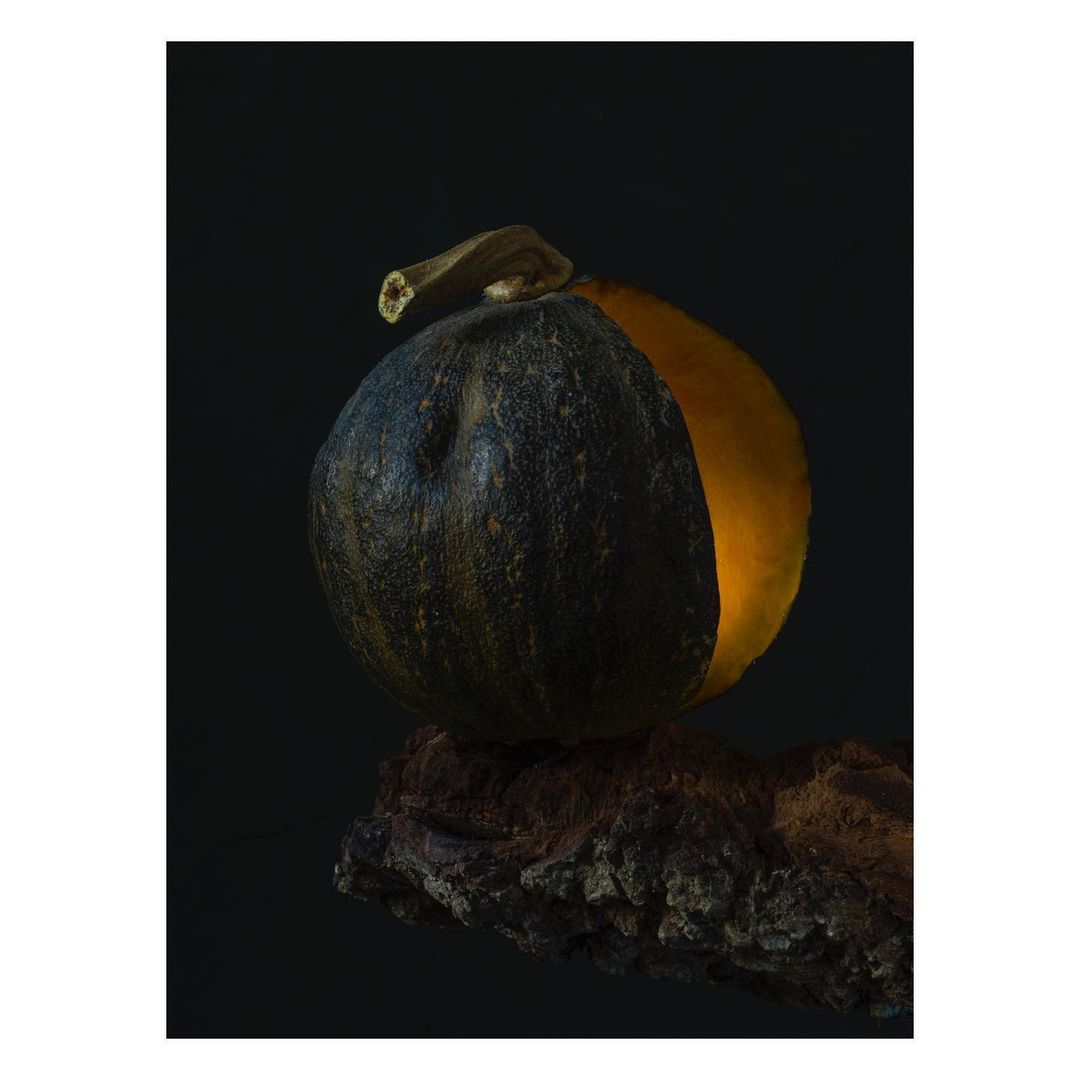 A dark green pumpkin with a slice cut out sits on a textured brown tree branch against a dark background in a moody food still life.