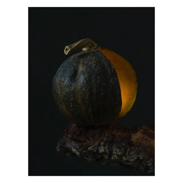 A dark green pumpkin with a slice cut out sits on a textured brown tree branch against a dark background in a moody food still life.