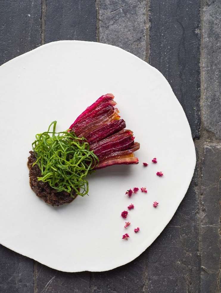 High-angle shot of gourmet beet dish with vibrant green garnish on a white plate against a textured grey stone background.