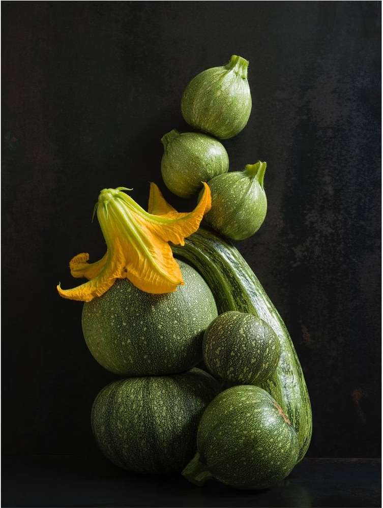 Still life of various squashes and zucchini, including round zucchini and a yellow squash blossom, stacked against a dark background.