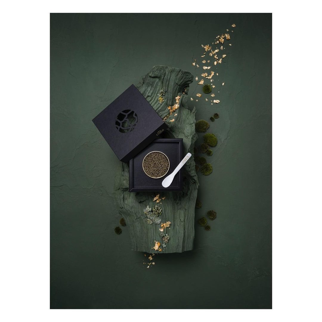 Overhead shot of black caviar in a black box with a spoon on a green surface with moss and gold flakes, luxurious food photography.
