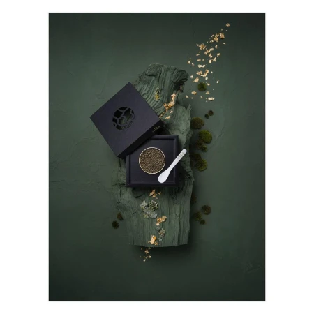 Overhead shot of black caviar in a black box with a spoon on a green surface with moss and gold flakes, luxurious food photography.
