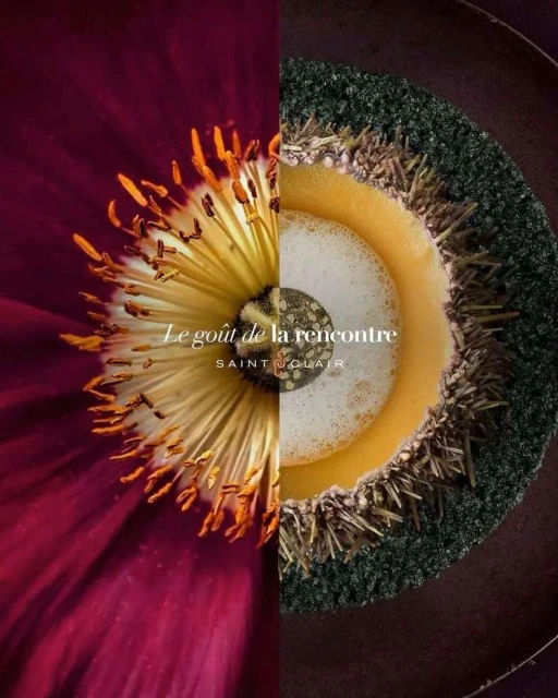 Split composition of a red flower and a food dish featuring dark garnish, yellow sauce, and white foam, against a dark background.