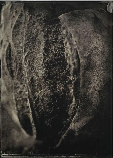 Monochromatic close-up photograph of the inner part of a cracked, organic mass with rough, irregular textures and dark color grading.