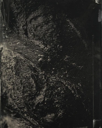 Dark abstract photographic texture with moody tones and organic forms captured in Paris by Franck Hamel.